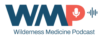 WMP logo